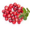 Ingredient icon for alpha arbutin on a white background