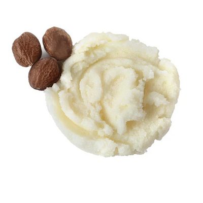 Ingredient icon for shea butter on a white background